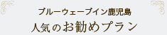 ブルーウェーブイン鹿児島 人気のお勧めプラン
